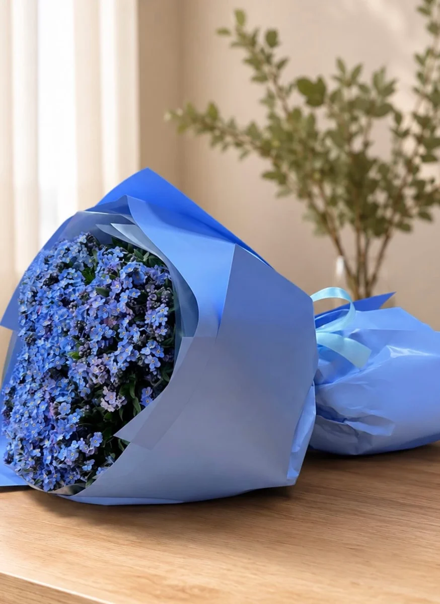 არ დამივიწყო💙