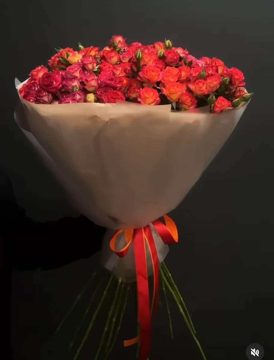 ციტრუსი