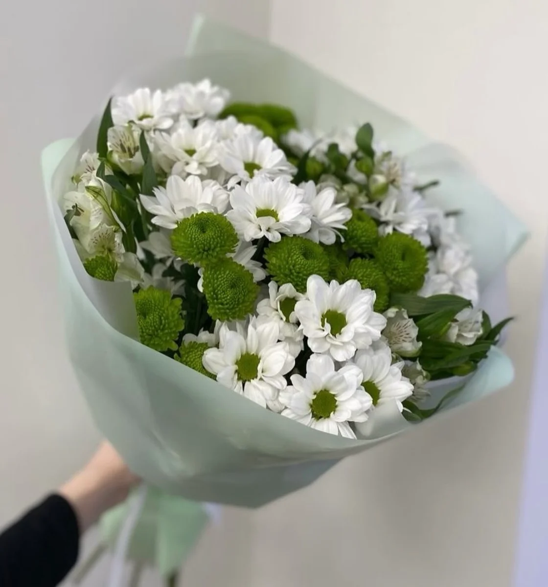 დილის ნამი 